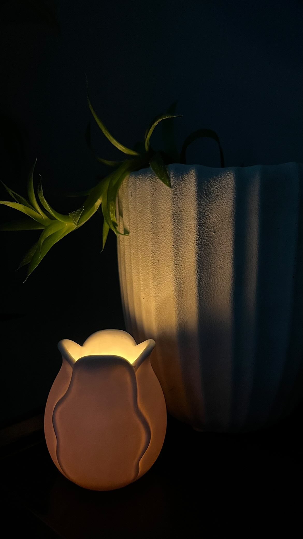 Riviera Tide Tulip Vessel