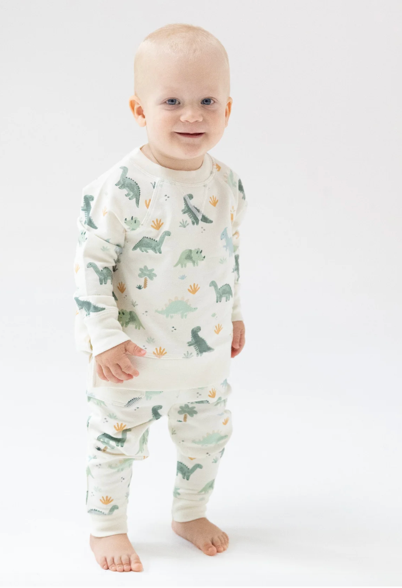 Angel Dear Dino Jogger Set