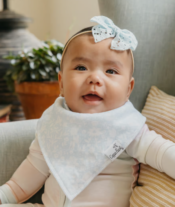 Copper Pearl Disney Princess Bibs