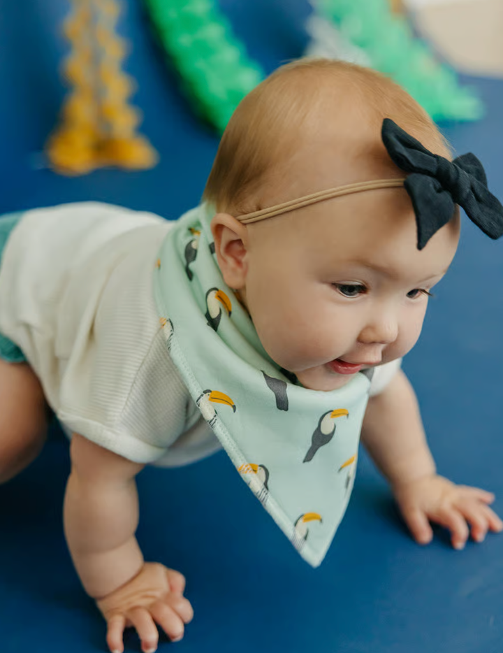 Copper Pearl Bengal Bibs