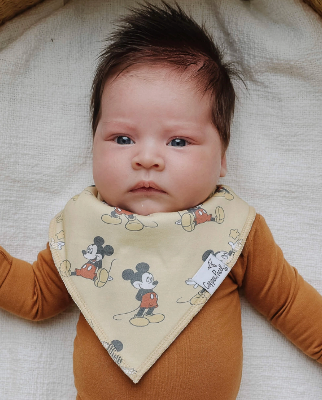 Copper Pearl Mickey + Friends Bibs