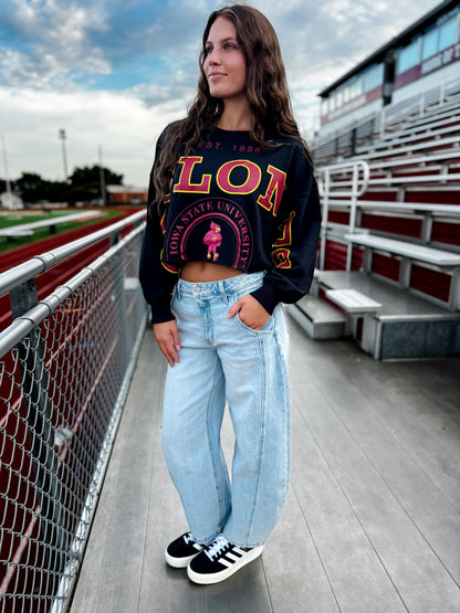 Iowa State Cyclones Crop LS Top