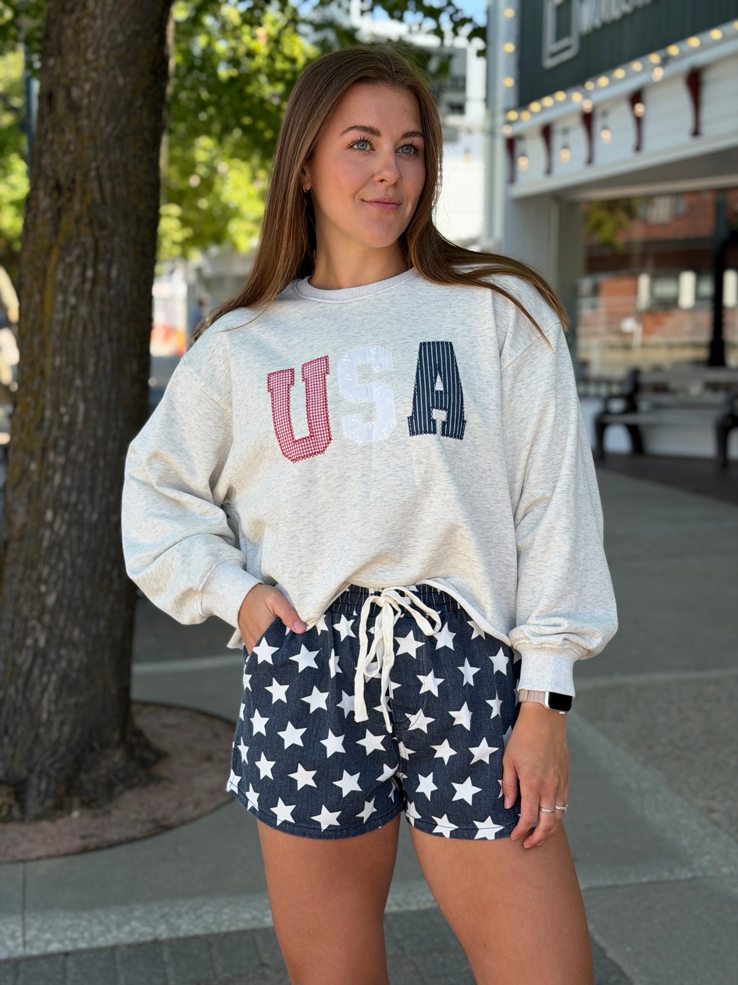 USA Gray Cropped Crewneck