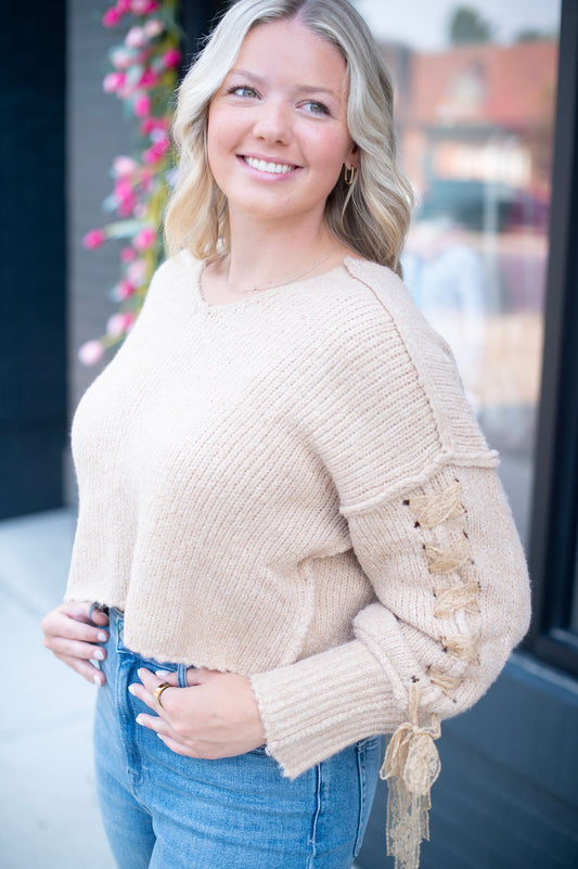 Taupe Lace Knit Tie Crop Sweater