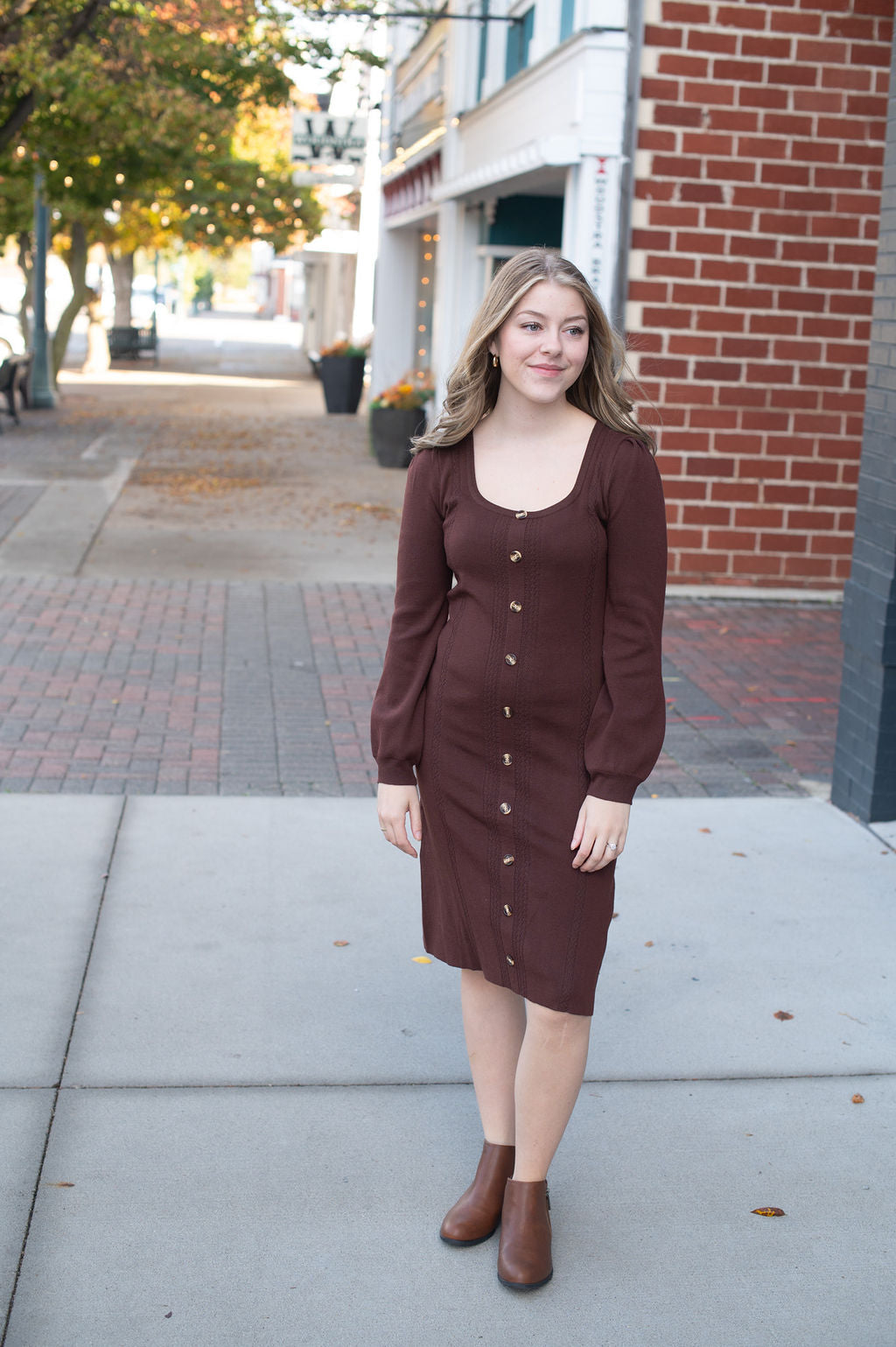 Jodi Walnut Fitted Button Dress