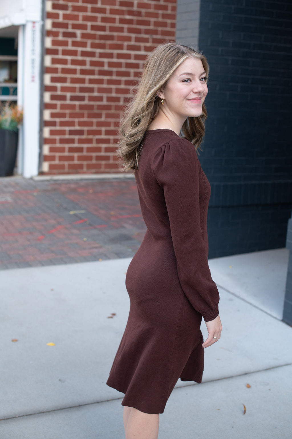 Jodi Walnut Fitted Button Dress