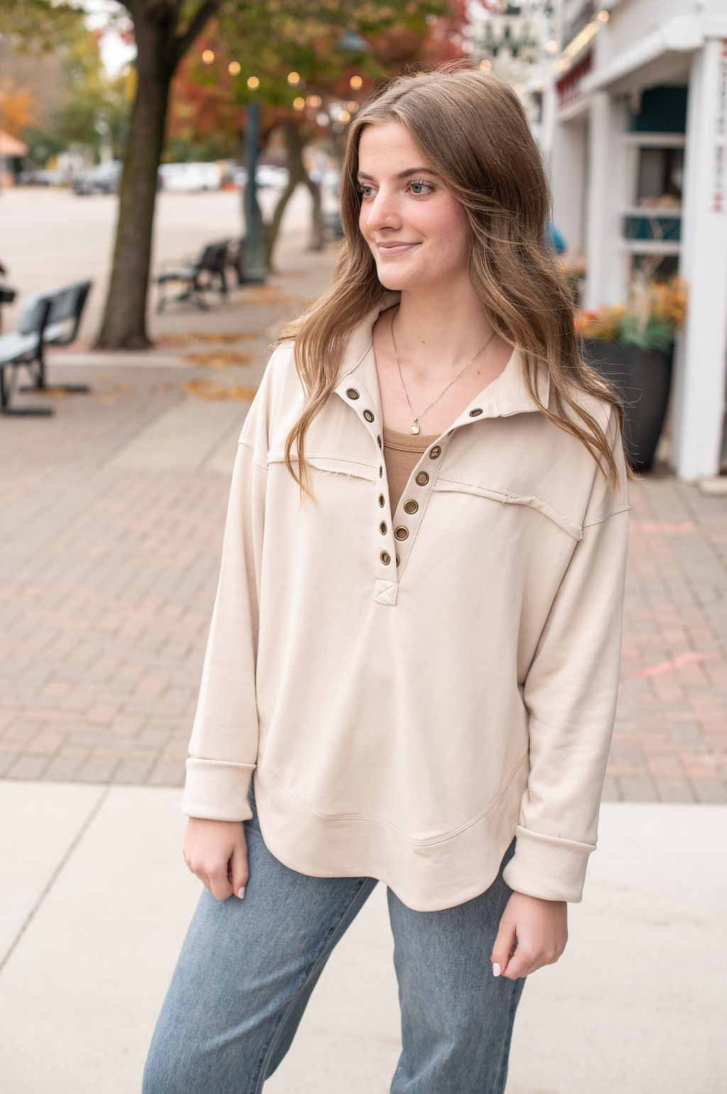 Taupe V Neck Basic Pullover