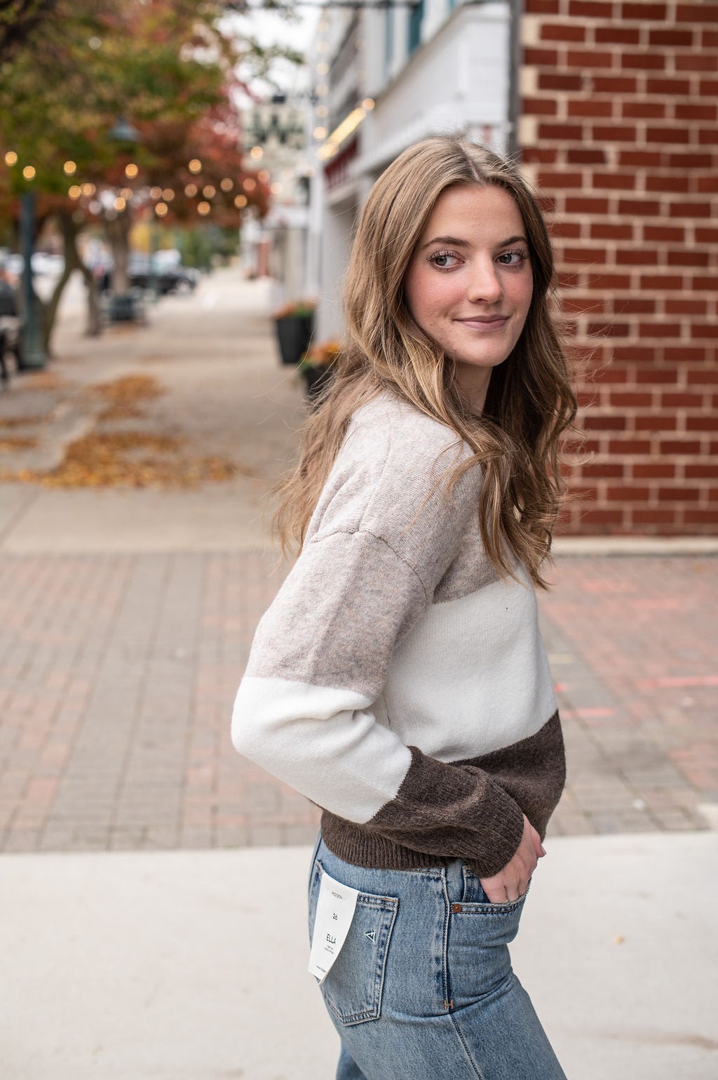 Taupe Colorlblock Sweater