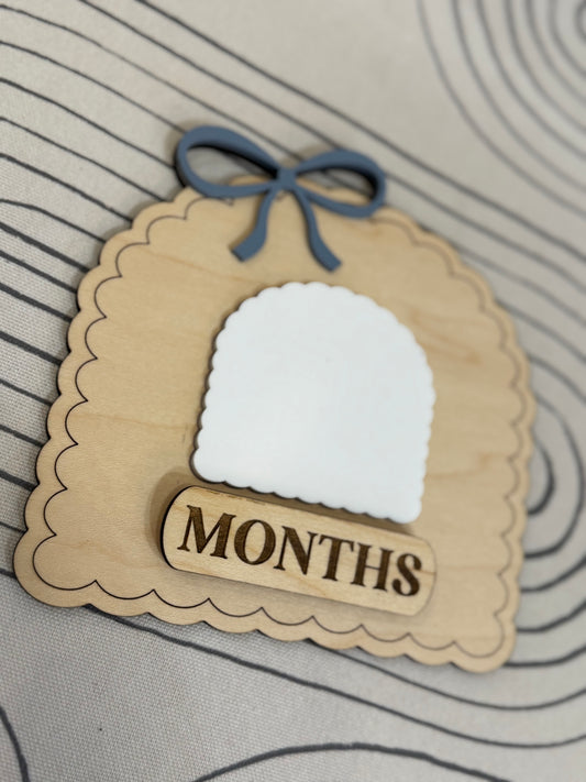 Dainty Bow Milestone Month Dry Erase