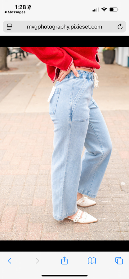 Vervet High Rise Elastic Pants