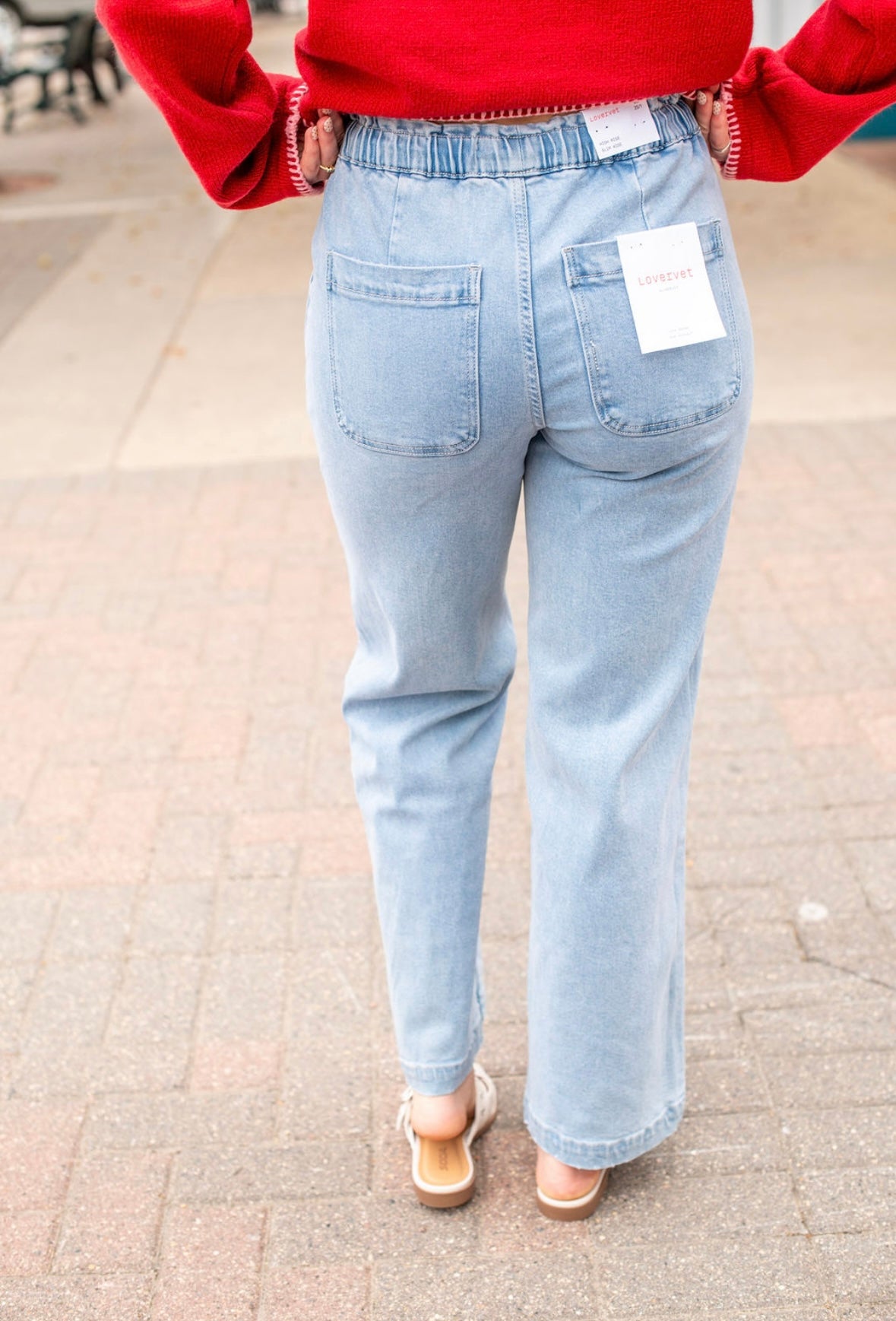 Vervet High Rise Elastic Pants