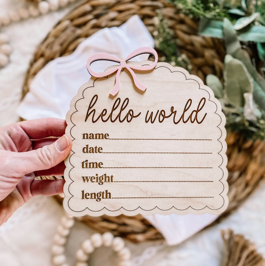 Pink Bow Hello World Announcement Sign