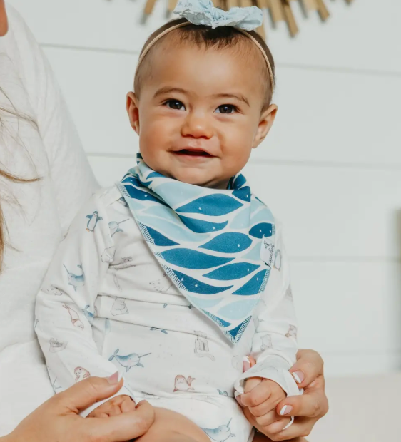 Copper Pearl Arctic Wonder Bibs