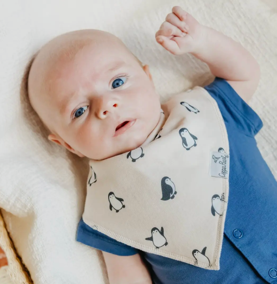 Copper Pearl Arctic Wonder Bibs