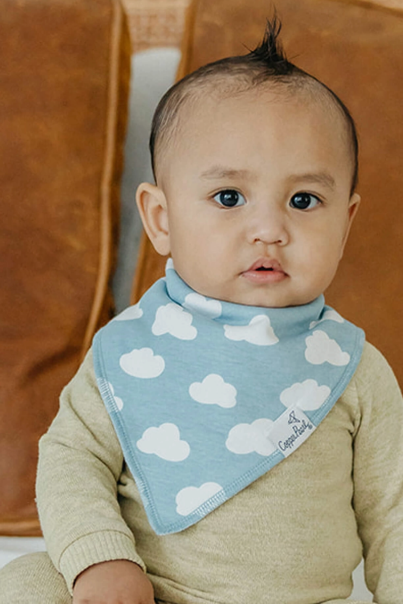 Copper Pearl Farmstead Bibs