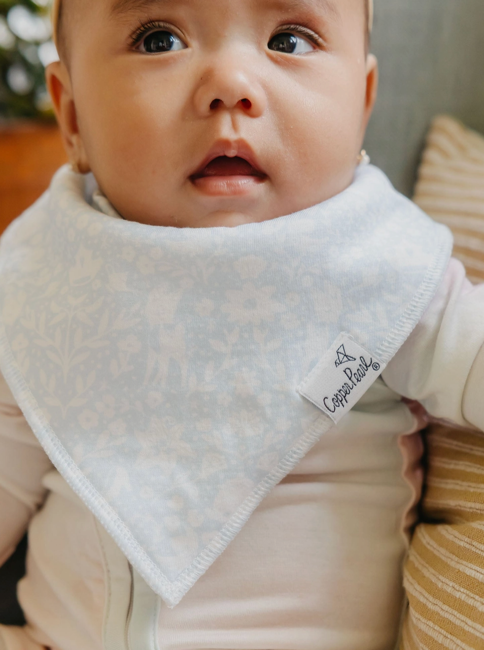 Copper Pearl Disney Princess Bibs