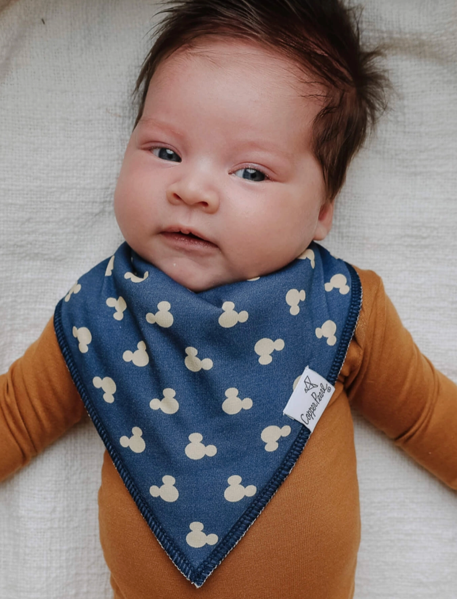 Copper Pearl Mickey + Friends Bibs